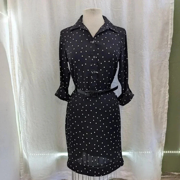 Ann Taylor Dresses & Skirts - Ann Taylor black & white polka dot dress with patent leather belt size small  D3